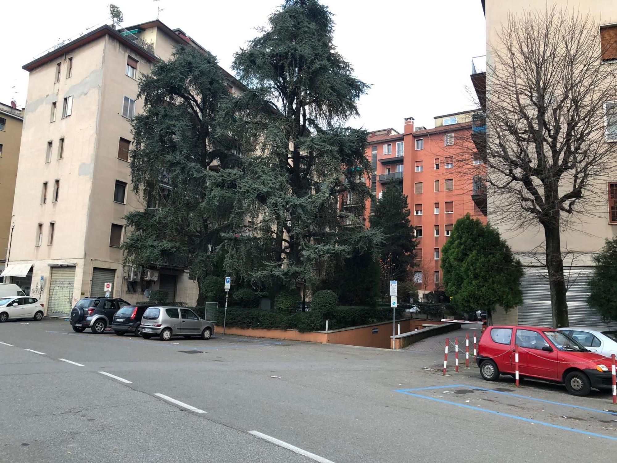 Tra Le Torri B&B - Ampia Stanza Privata In Appartamento Con Bagno Privato Accessibile Da Corridoio Bolonia Zewnętrze zdjęcie
